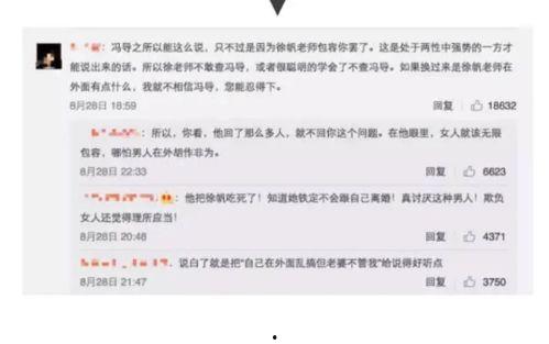 国产综合成人网,揭秘国内成人娱乐产业的现状与未来