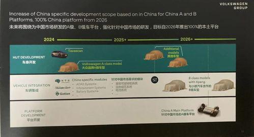 国产a级一级久久毛片,揭秘一级久久毛片背后的故事